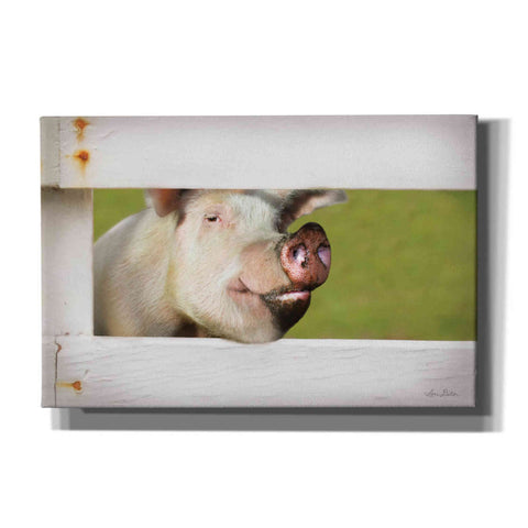 Image of 'Pig at Fence' by Lori Deiter, Canvas Wall Art