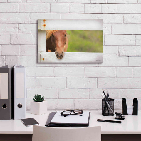 Image of 'Horse at Fence' by Lori Deiter, Canvas Wall Art,18 x 12