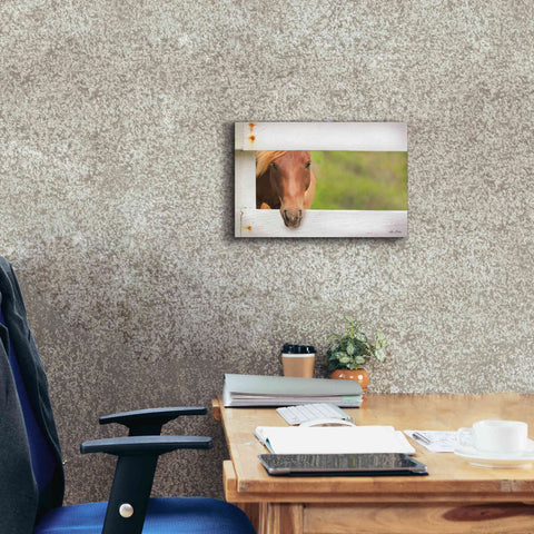 Image of 'Horse at Fence' by Lori Deiter, Canvas Wall Art,18 x 12