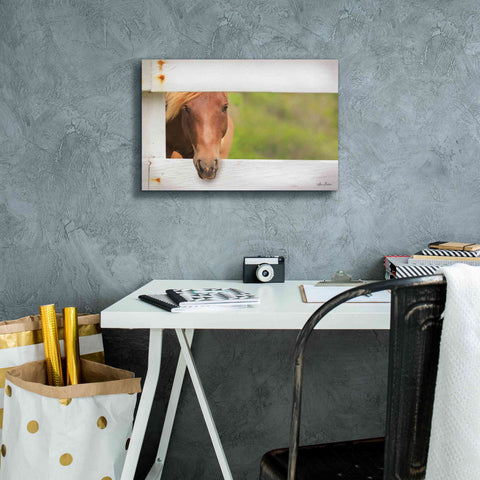 Image of 'Horse at Fence' by Lori Deiter, Canvas Wall Art,18 x 12