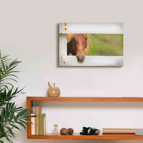 Image of 'Horse at Fence' by Lori Deiter, Canvas Wall Art,18 x 12