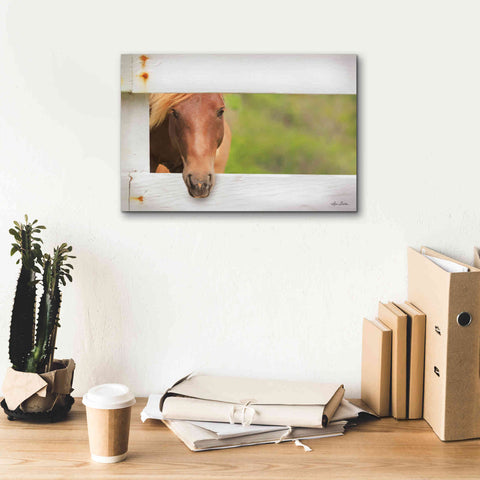 Image of 'Horse at Fence' by Lori Deiter, Canvas Wall Art,18 x 12