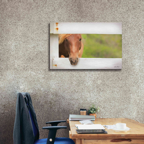Image of 'Horse at Fence' by Lori Deiter, Canvas Wall Art,40 x 26