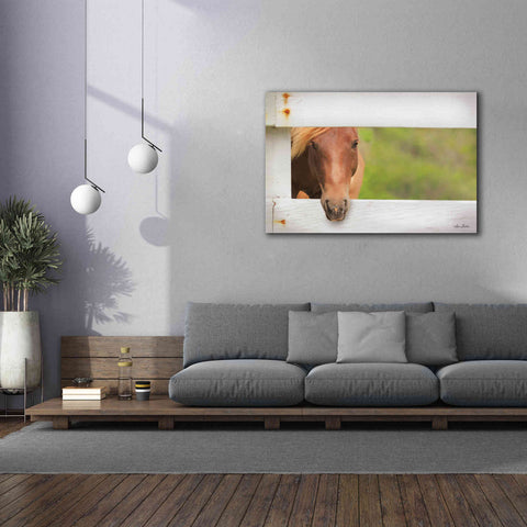 Image of 'Horse at Fence' by Lori Deiter, Canvas Wall Art,60 x 40