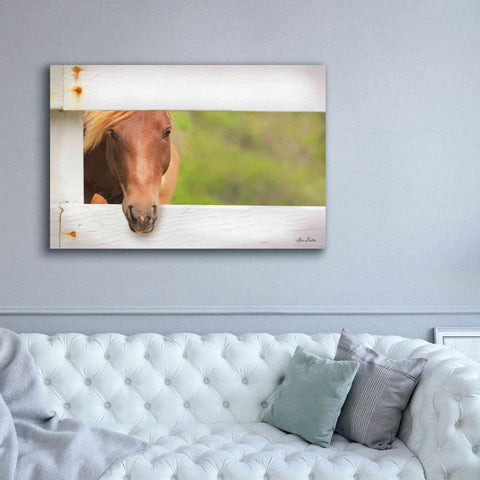 Image of 'Horse at Fence' by Lori Deiter, Canvas Wall Art,60 x 40