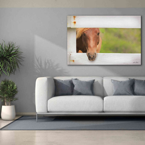 Image of 'Horse at Fence' by Lori Deiter, Canvas Wall Art,60 x 40