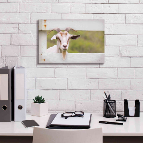 Image of 'Goat at Fence' by Lori Deiter, Canvas Wall Art,18 x 12