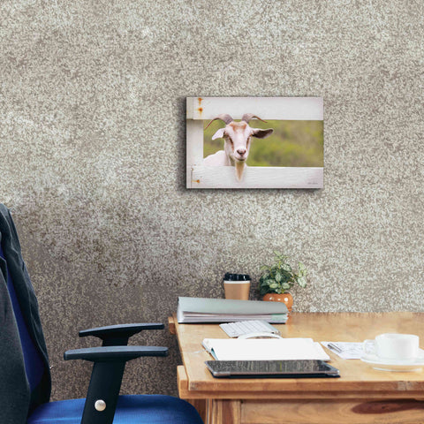 Image of 'Goat at Fence' by Lori Deiter, Canvas Wall Art,18 x 12