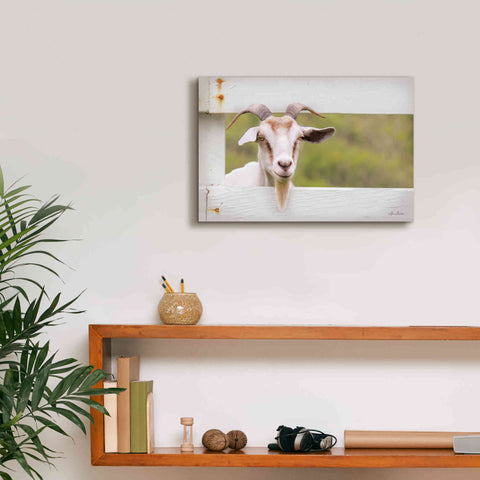 Image of 'Goat at Fence' by Lori Deiter, Canvas Wall Art,18 x 12