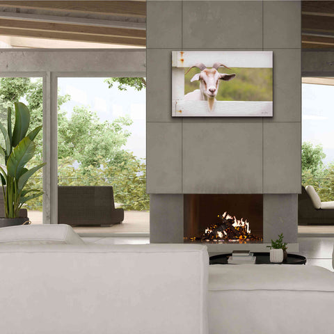 Image of 'Goat at Fence' by Lori Deiter, Canvas Wall Art,40 x 26