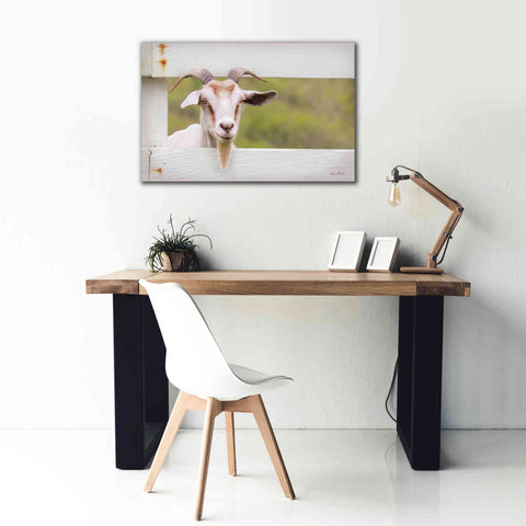 Image of 'Goat at Fence' by Lori Deiter, Canvas Wall Art,40 x 26
