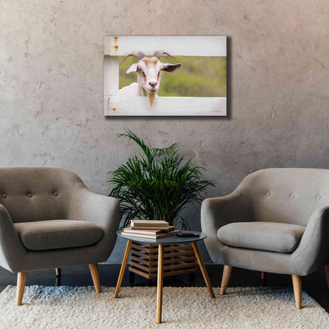 Image of 'Goat at Fence' by Lori Deiter, Canvas Wall Art,40 x 26