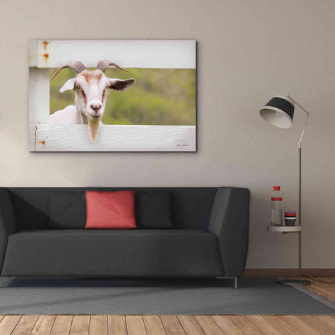 Image of 'Goat at Fence' by Lori Deiter, Canvas Wall Art,60 x 40
