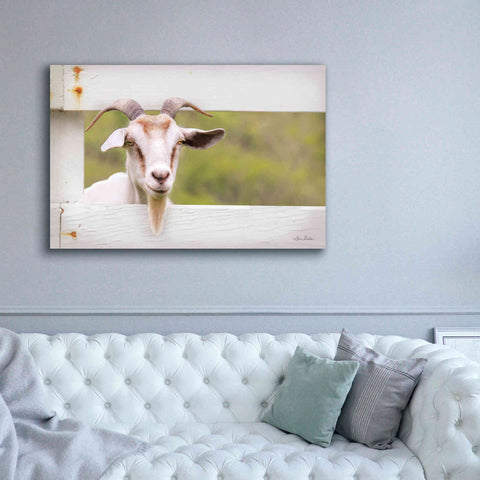 Image of 'Goat at Fence' by Lori Deiter, Canvas Wall Art,60 x 40