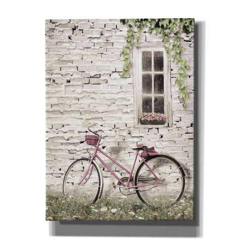 Image of 'Ready for a Bike Ride' by Lori Deiter, Canvas Wall Art