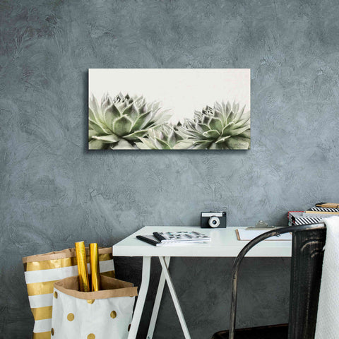 Image of 'Soft Succulents I' by Lori Deiter, Canvas Wall Art,24 x 12