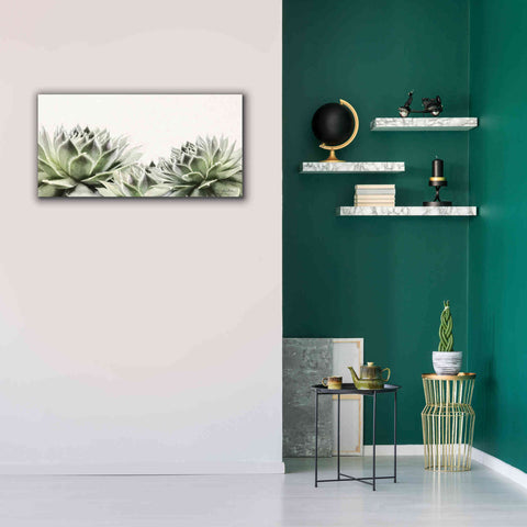 Image of 'Soft Succulents I' by Lori Deiter, Canvas Wall Art,40 x 20