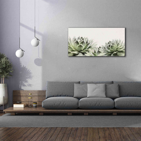 Image of 'Soft Succulents I' by Lori Deiter, Canvas Wall Art,60 x 30