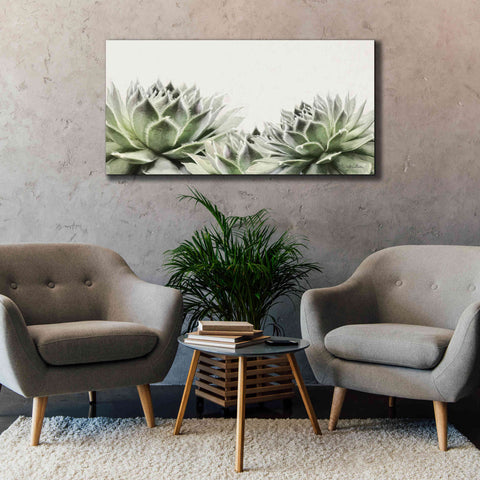 Image of 'Soft Succulents I' by Lori Deiter, Canvas Wall Art,60 x 30