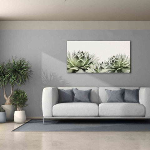 Image of 'Soft Succulents I' by Lori Deiter, Canvas Wall Art,60 x 30