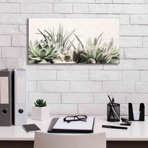 Image of 'Soft Succulents II' by Lori Deiter, Canvas Wall Art,24 x 12