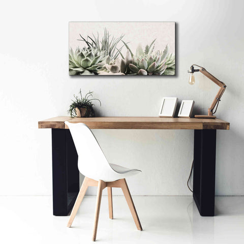 Image of 'Soft Succulents II' by Lori Deiter, Canvas Wall Art,40 x 20