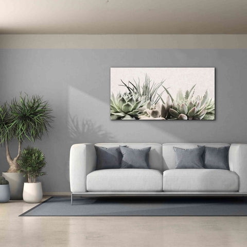 Image of 'Soft Succulents II' by Lori Deiter, Canvas Wall Art,60 x 30