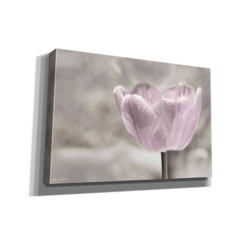 Image of 'Violet Tulip' by Lori Deiter, Canvas Wall Art