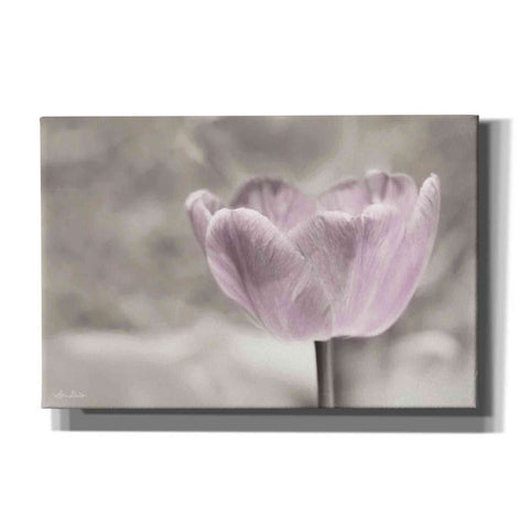 Image of 'Violet Tulip' by Lori Deiter, Canvas Wall Art
