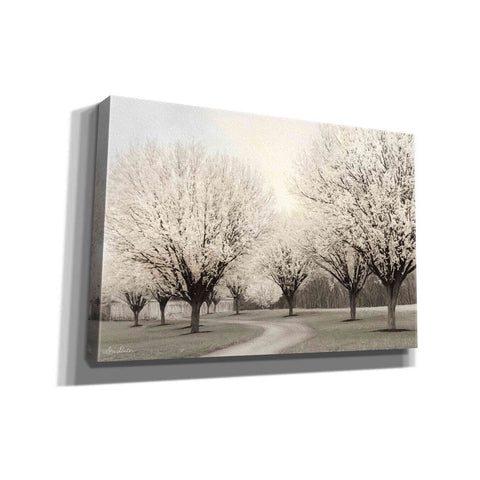 Image of 'In Full Bloom' by Lori Deiter, Canvas Wall Art