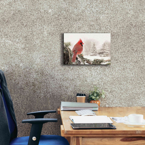 Image of 'Winter Perch' by Lori Deiter, Canvas Wall Art,18 x 12