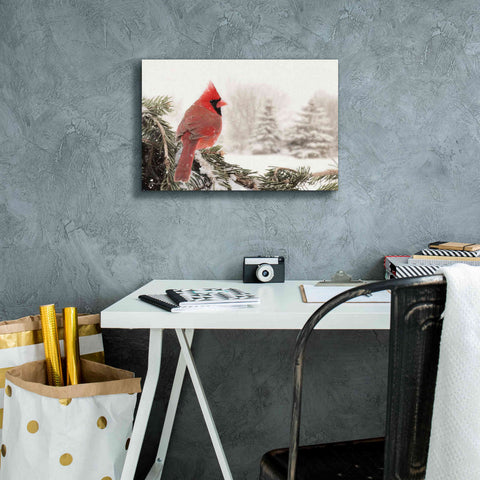 Image of 'Winter Perch' by Lori Deiter, Canvas Wall Art,18 x 12