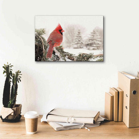 Image of 'Winter Perch' by Lori Deiter, Canvas Wall Art,18 x 12