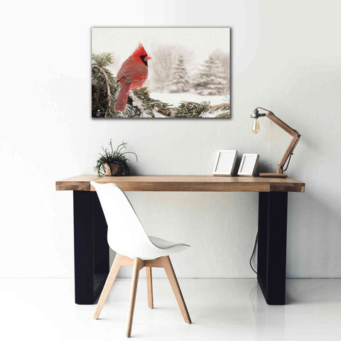 Image of 'Winter Perch' by Lori Deiter, Canvas Wall Art,40 x 26