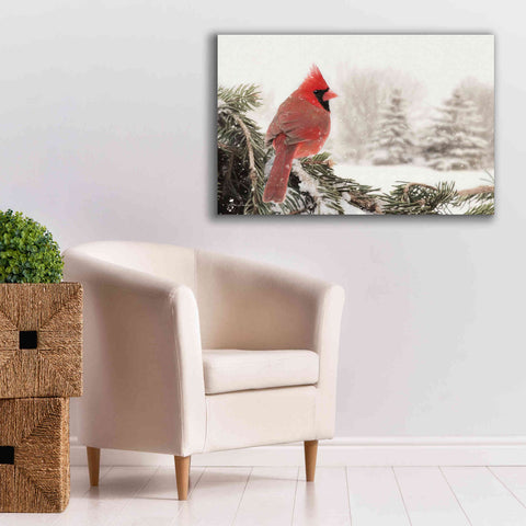 Image of 'Winter Perch' by Lori Deiter, Canvas Wall Art,40 x 26