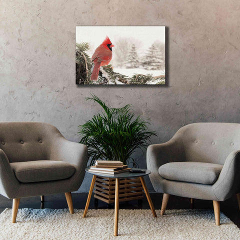 Image of 'Winter Perch' by Lori Deiter, Canvas Wall Art,40 x 26