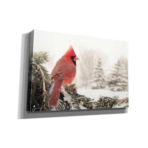 Image of 'Winter Perch' by Lori Deiter, Canvas Wall Art
