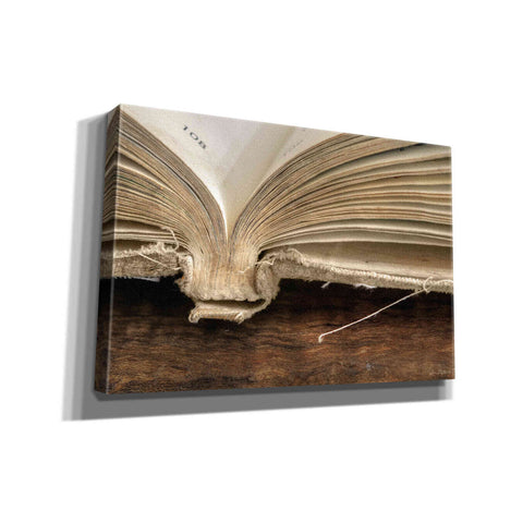 Image of 'Page 108' by Lori Deiter, Canvas Wall Art