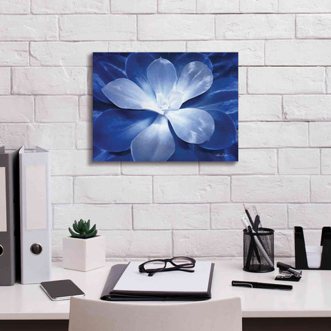 Image of 'Blue Succulent II' by Lori Deiter, Canvas Wall Art,16 x 12