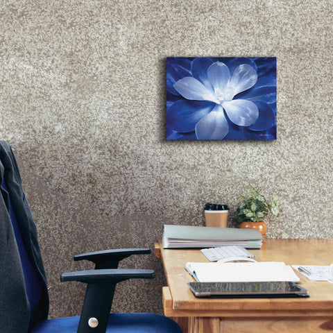 Image of 'Blue Succulent II' by Lori Deiter, Canvas Wall Art,16 x 12