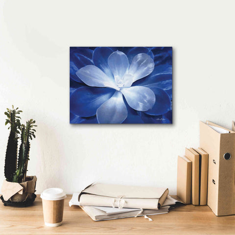 Image of 'Blue Succulent II' by Lori Deiter, Canvas Wall Art,16 x 12