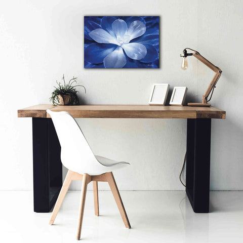 Image of 'Blue Succulent II' by Lori Deiter, Canvas Wall Art,26 x 18