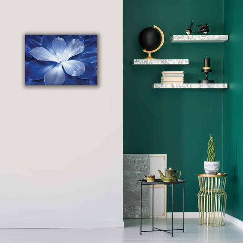 Image of 'Blue Succulent II' by Lori Deiter, Canvas Wall Art,26 x 18