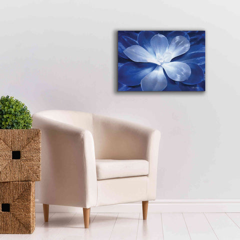 Image of 'Blue Succulent II' by Lori Deiter, Canvas Wall Art,26 x 18