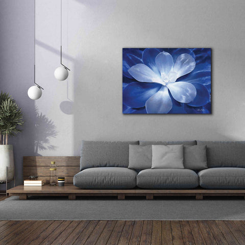 Image of 'Blue Succulent II' by Lori Deiter, Canvas Wall Art,54 x 40