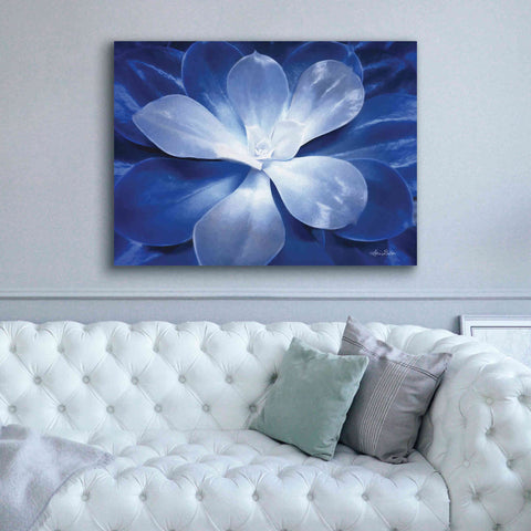 Image of 'Blue Succulent II' by Lori Deiter, Canvas Wall Art,54 x 40