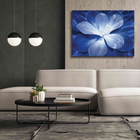 Image of 'Blue Succulent II' by Lori Deiter, Canvas Wall Art,54 x 40