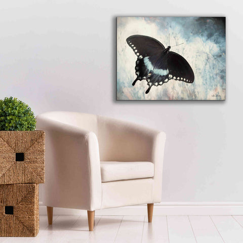 Image of 'Teal Butterfly I' by Lori Deiter, Canvas Wall Art,34 x 26
