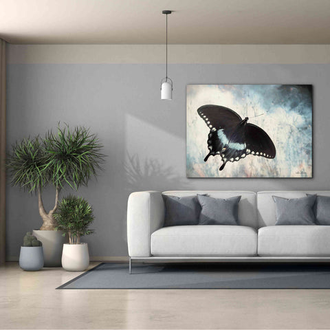 Image of 'Teal Butterfly I' by Lori Deiter, Canvas Wall Art,54 x 40