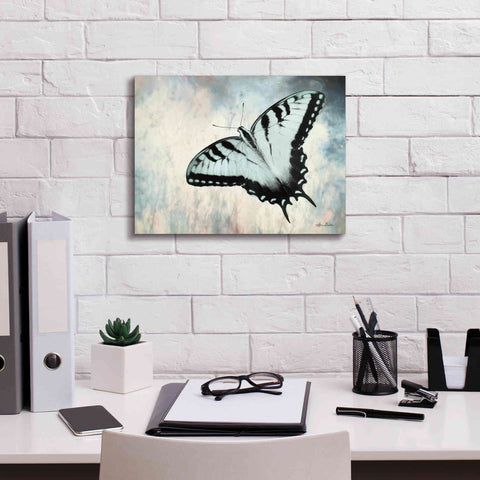 Image of 'Teal Butterfly II' by Lori Deiter, Canvas Wall Art,16 x 12